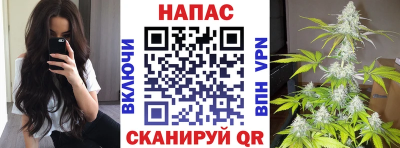 Бошки марихуана White Widow  хочу наркоту  Гагарин 